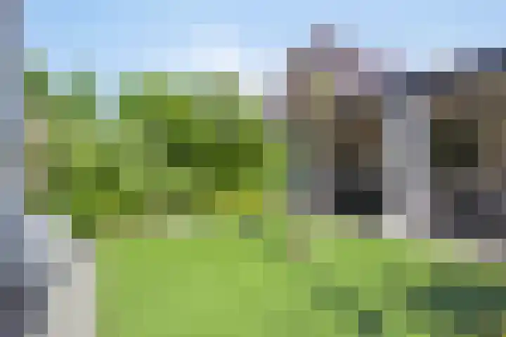 Houtwal 8 Gemert thumbnail 18