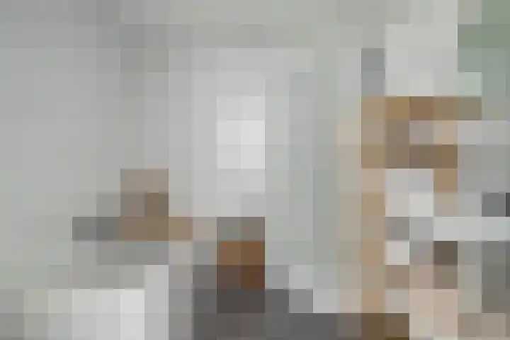 Houtwal 8 Gemert thumbnail 33
