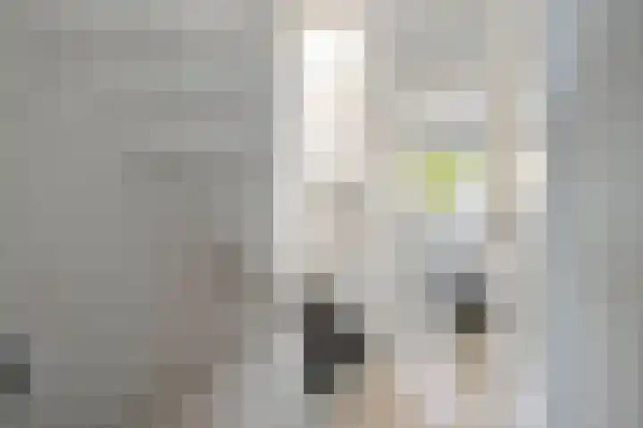 Houtwal 8 Gemert thumbnail 36