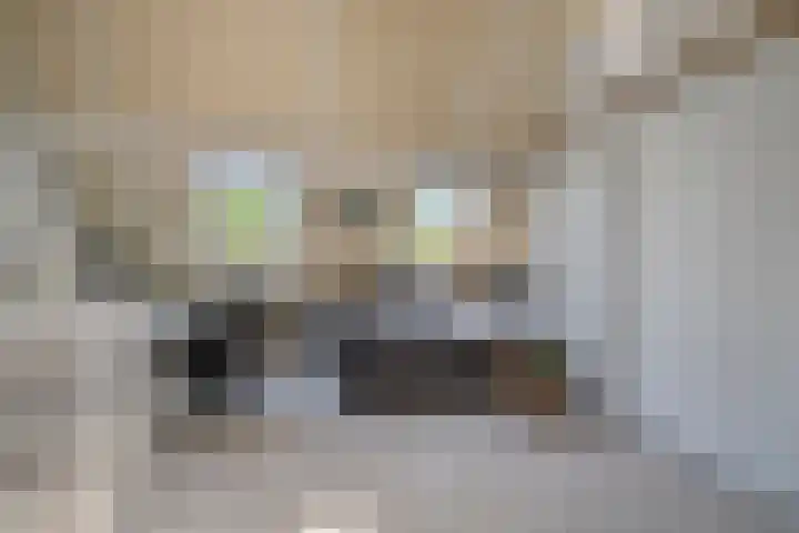 Houtwal 8 Gemert thumbnail 38
