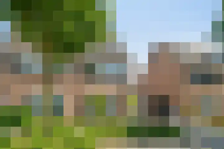 Houtwal 8 Gemert thumbnail 41