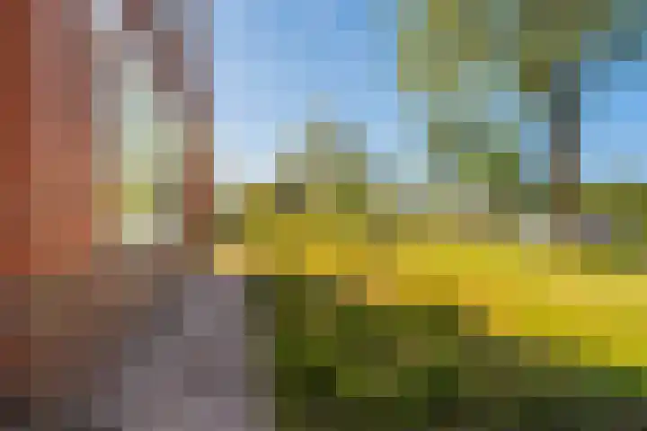 Houtweg 22 Farmsum thumbnail 11