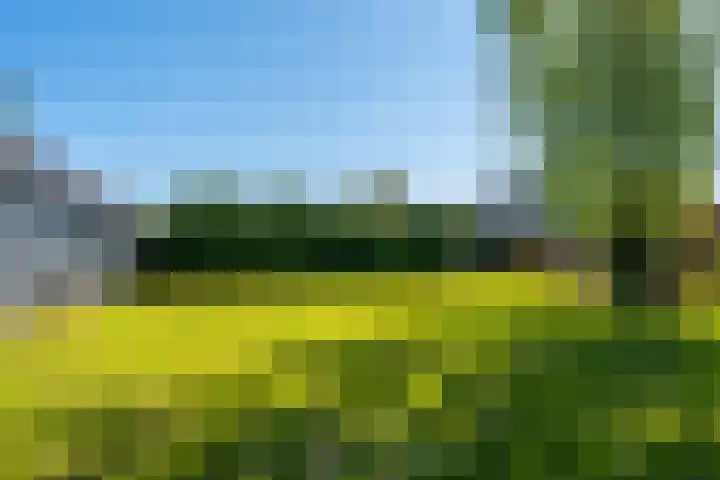 Houtweg 22 Farmsum thumbnail 19