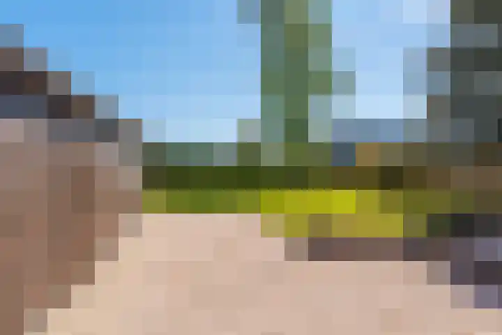 Houtweg 22 Farmsum thumbnail 20