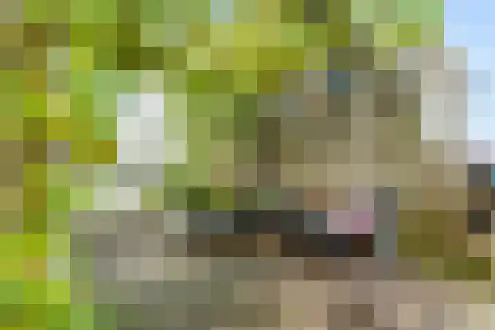 Houtwerf 25 Vleuten thumbnail 23