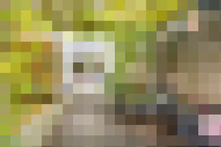 Houtwerf 25 Vleuten thumbnail 24
