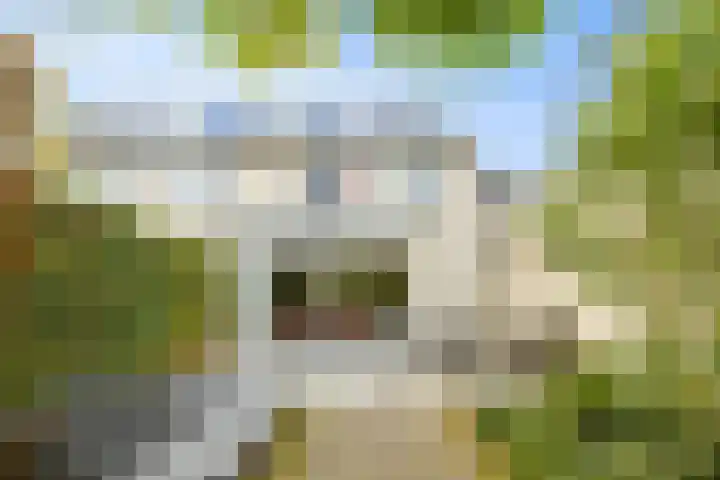 Houtwerf 25 Vleuten thumbnail 25