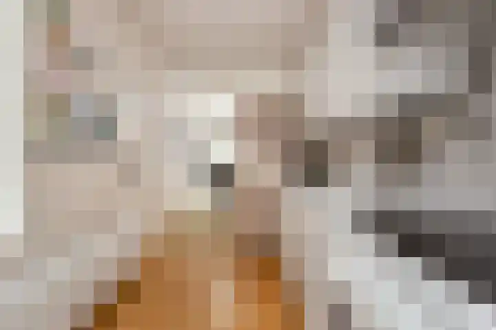Houtwerf 33 Vleuten thumbnail 11