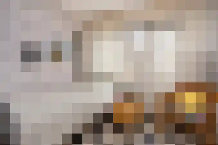Houtwerf 33 Vleuten thumbnail 13