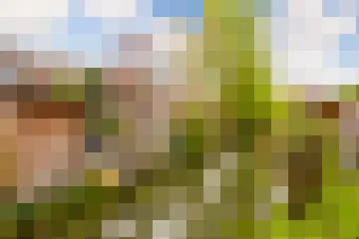 Houtwerf 33 Vleuten thumbnail 21