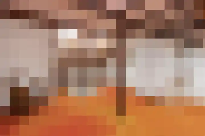 Houtwerf 33 Vleuten thumbnail 30