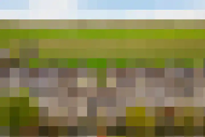 Houtwerf 33 Vleuten thumbnail 38