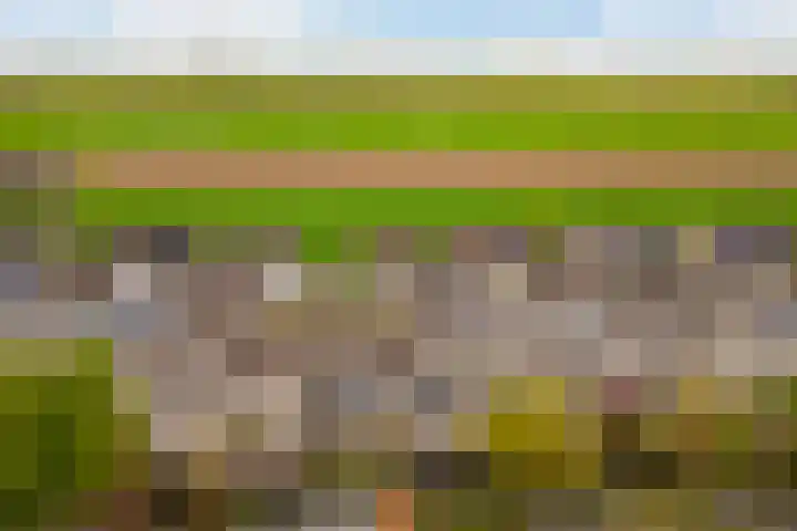 Houtwerf 33 Vleuten thumbnail 39