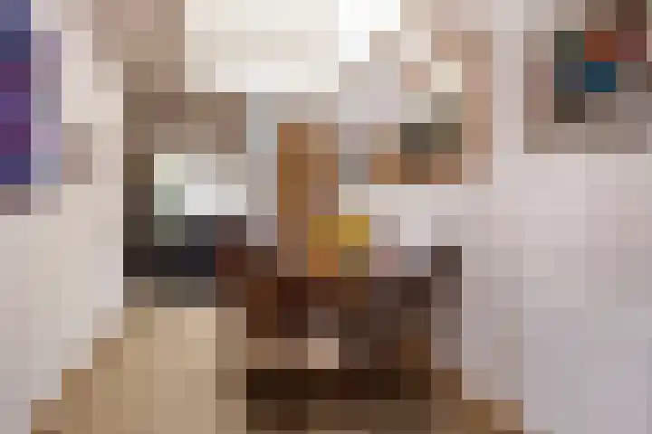 Houtwerf 33 Vleuten thumbnail 9