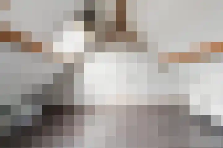 Houtwerf 5 Boxtel thumbnail 41