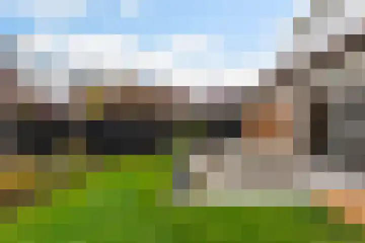 Houtwerf 5 Boxtel thumbnail 49