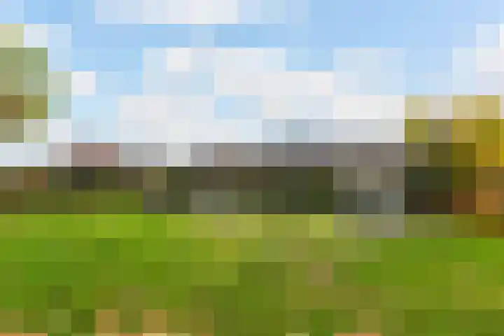 Houtwerf 5 Boxtel thumbnail 51