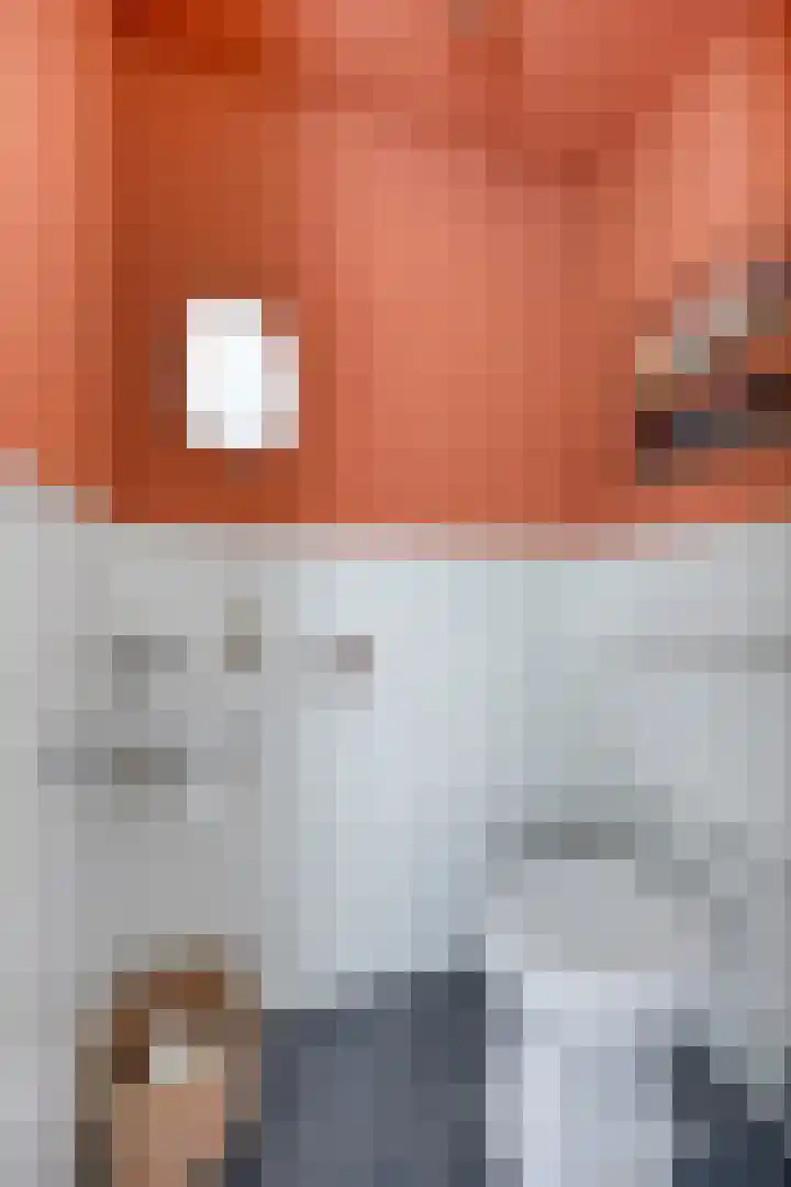 Houtwerf 9 Waarland thumbnail 12
