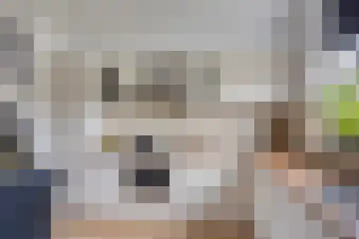 Houtwerf 9 Waarland thumbnail 17
