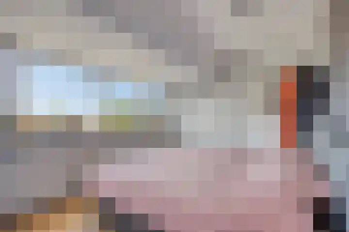 Houtwerf 9 Waarland thumbnail 21