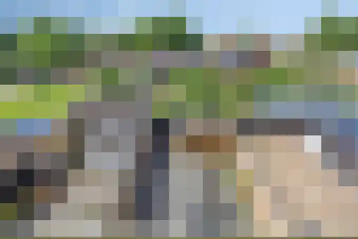 Houtwerf 9 Waarland thumbnail 22