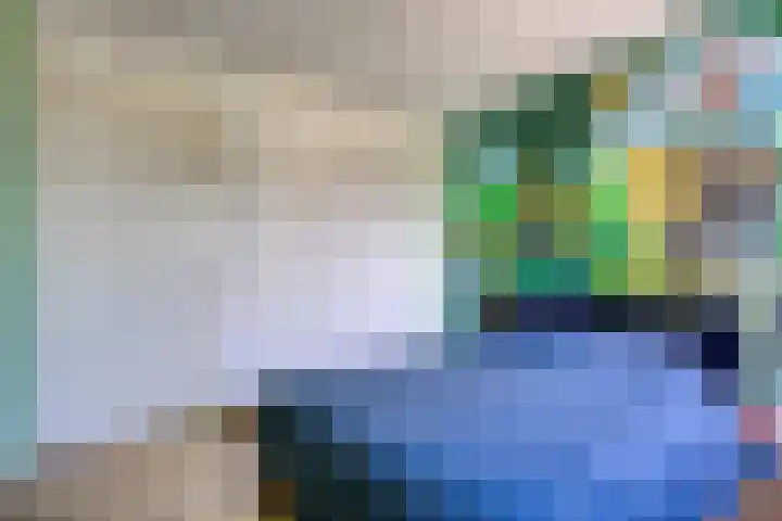 Houtwerf 9 Waarland thumbnail 28