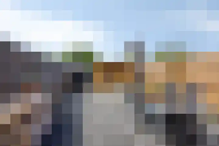 Houtwerf 9 Waarland thumbnail 32