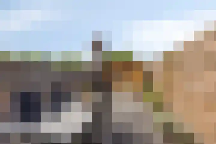 Houtwerf 9 Waarland thumbnail 33