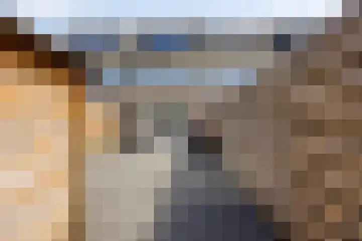 Houtwerf 9 Waarland thumbnail 34