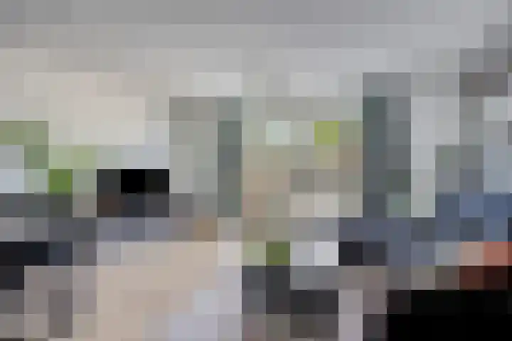 Houtwerf 9 Waarland thumbnail 4