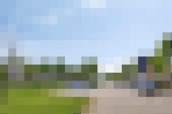 Houtwerf 9 Waarland thumbnail 8