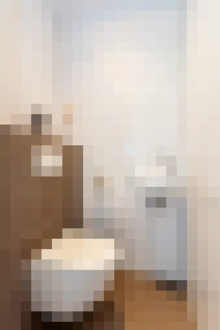 Houtwolstraat 2 Mill thumbnail 13