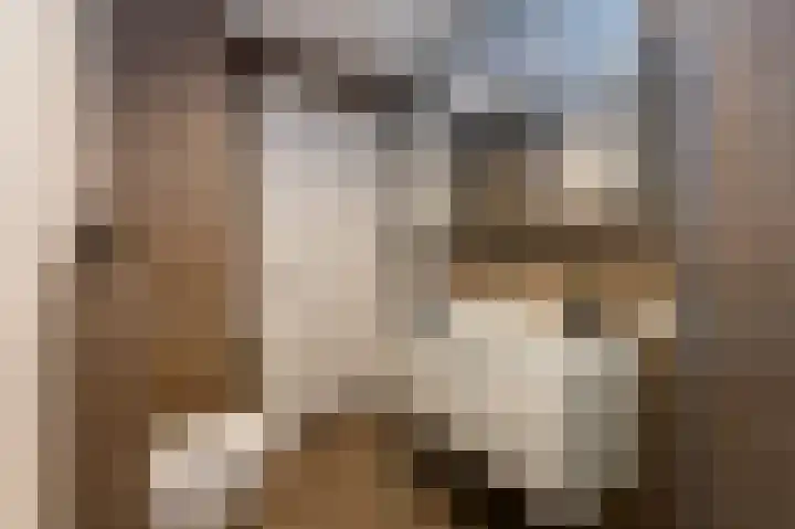 Houtwolstraat 2 Mill thumbnail 20