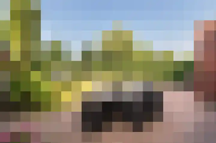 Houtwolstraat 2 Mill thumbnail 27
