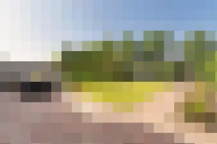 Houtwolstraat 2 Mill thumbnail 29