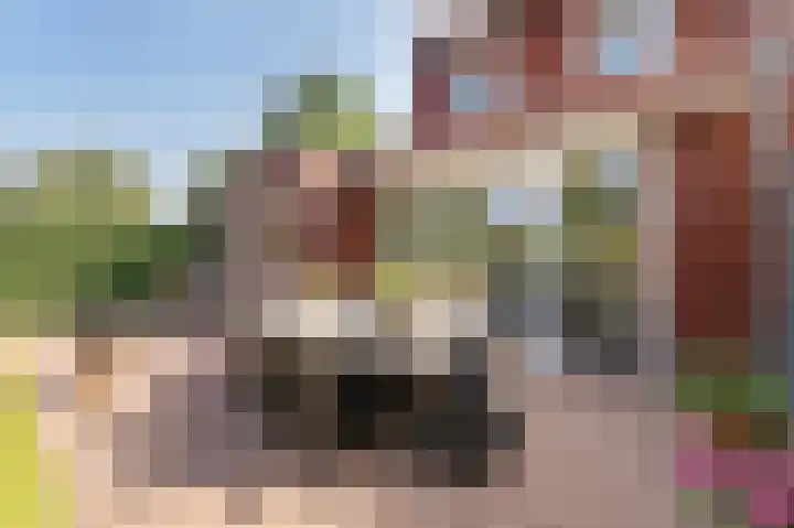 Houtwolstraat 2 Mill thumbnail 32