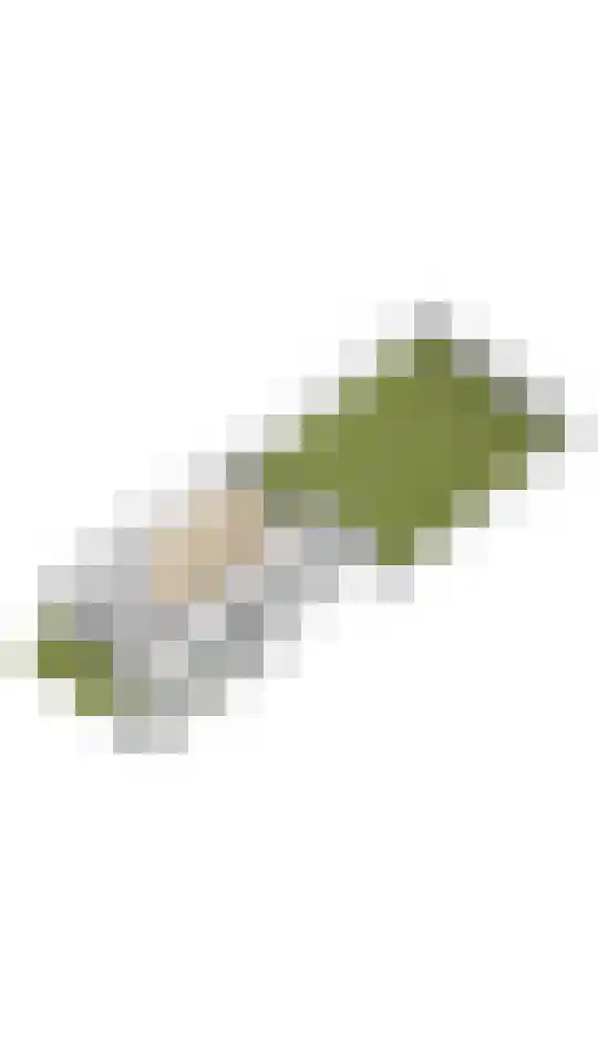Houtwolstraat 2 Mill thumbnail 39