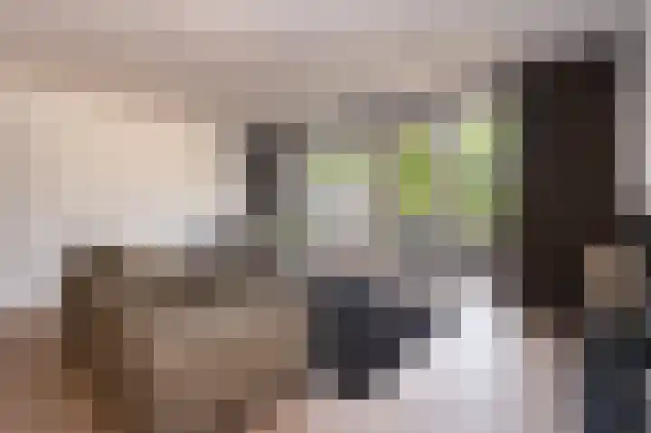 Houtwolstraat 2 Mill thumbnail 6