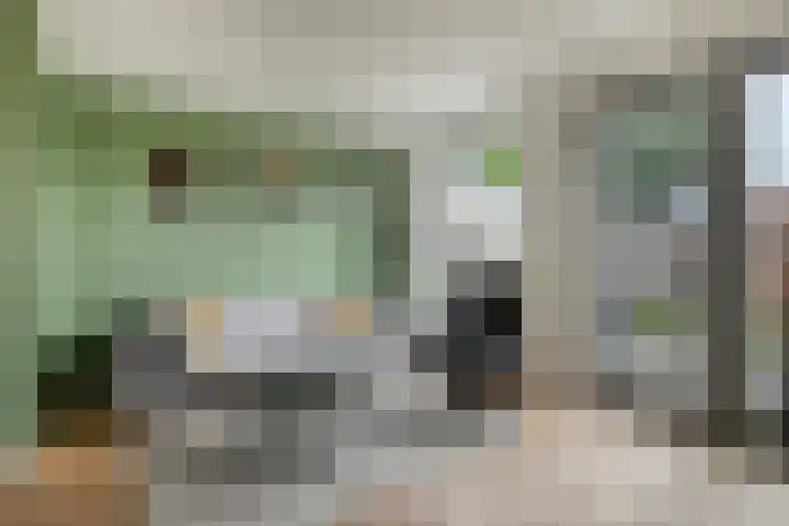 Houtwolstraat 32 Mill thumbnail 12
