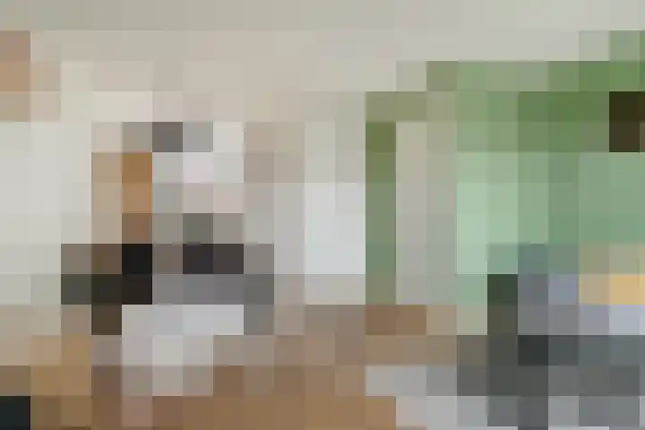 Houtwolstraat 32 Mill thumbnail 13