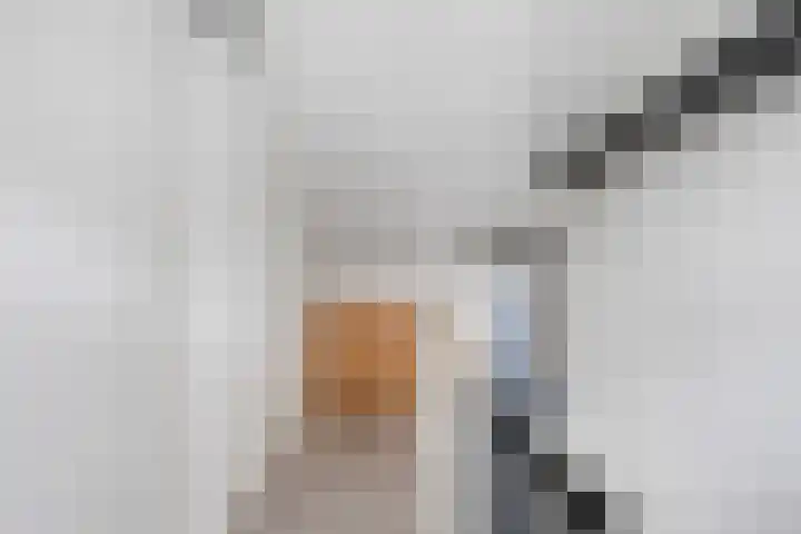 Houtwolstraat 32 Mill thumbnail 27
