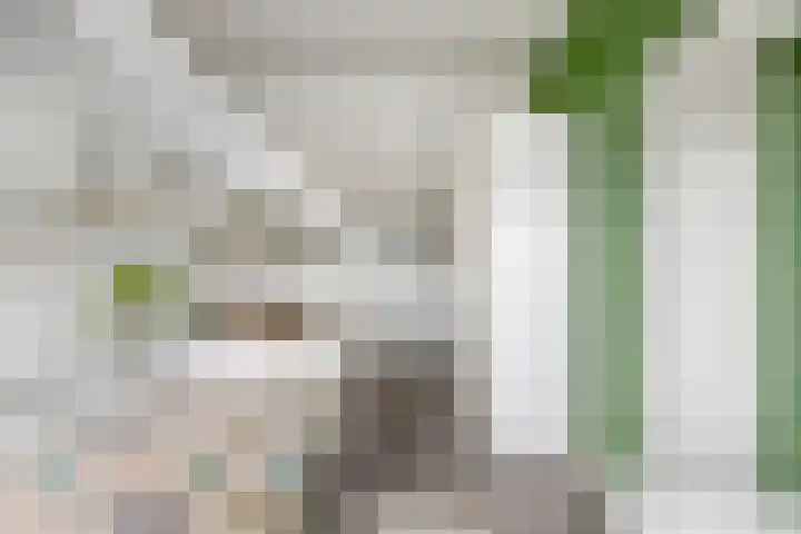 Houtwolstraat 32 Mill thumbnail 29