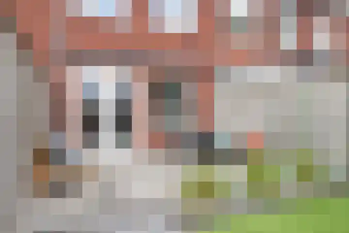 Houtwolstraat 32 Mill thumbnail 30