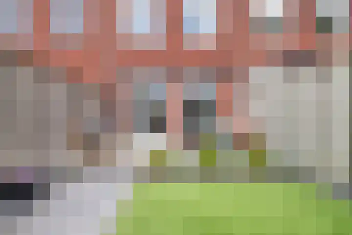 Houtwolstraat 32 Mill thumbnail 31