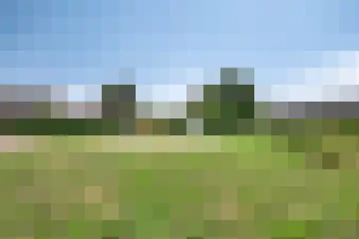 Houtwolstraat 32 Mill thumbnail 36