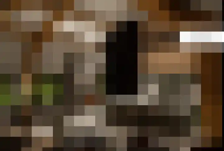 Houweg 2 Elst Ut thumbnail 43