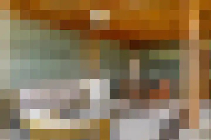 Houweg 2 Elst Ut thumbnail 50