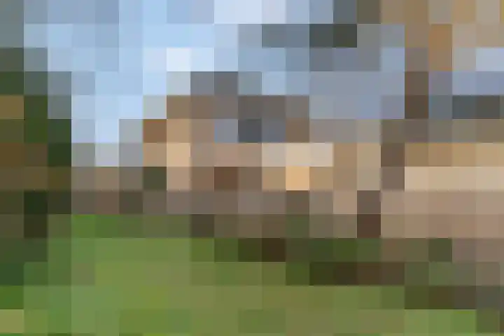 Houweg 2 Elst Ut thumbnail 52