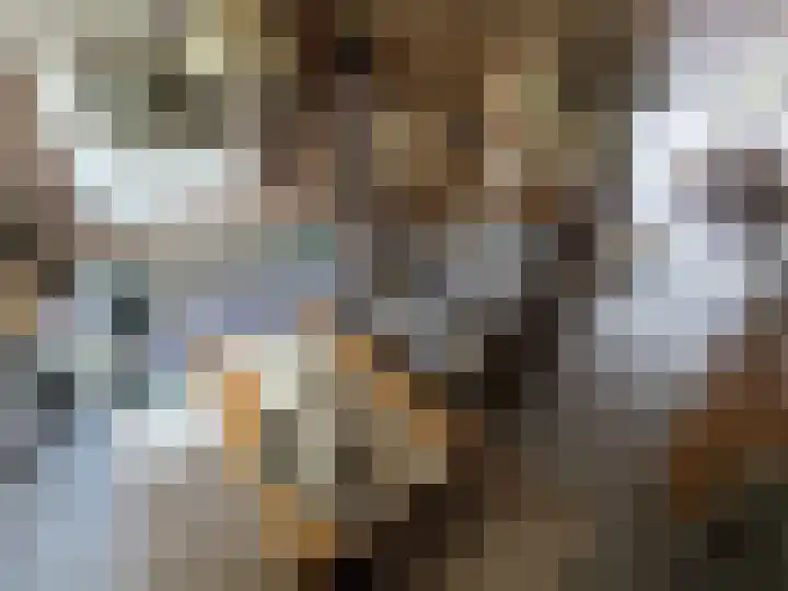 Houwer 18 Landgraaf thumbnail 10