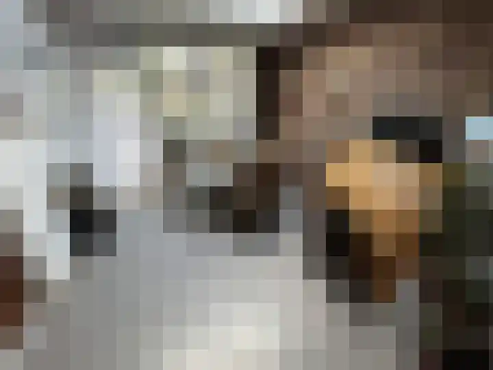 Houwer 18 Landgraaf thumbnail 12